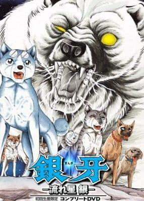 Silver Fang: The Shooting Star Gin