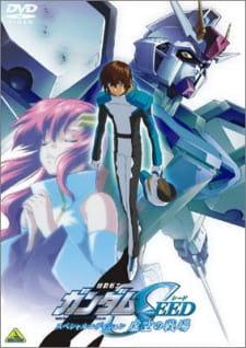 Mobile Suit Gundam SEED Special Edition